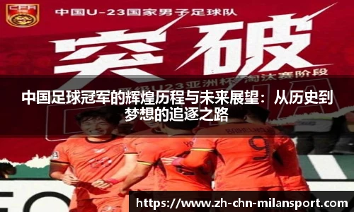 中国足球冠军的辉煌历程与未来展望：从历史到梦想的追逐之路