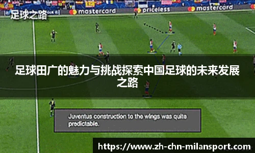 足球田广的魅力与挑战探索中国足球的未来发展之路